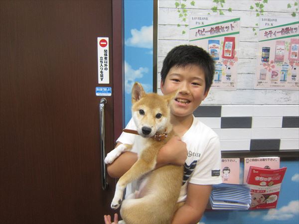 写真