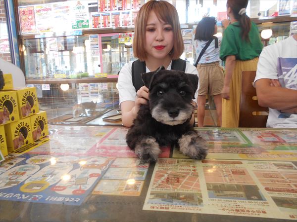 写真