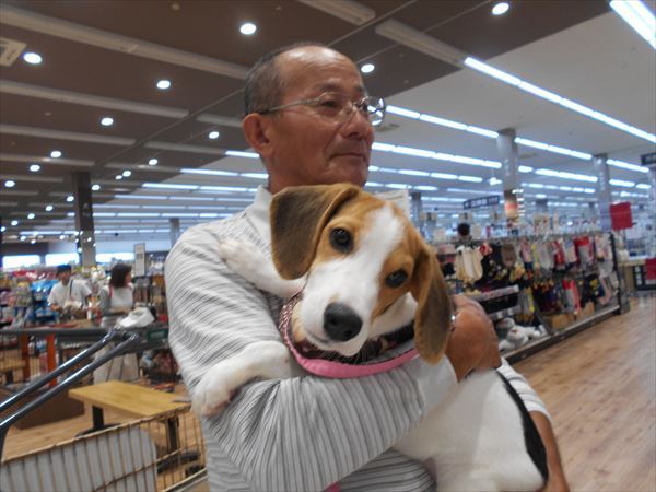 写真