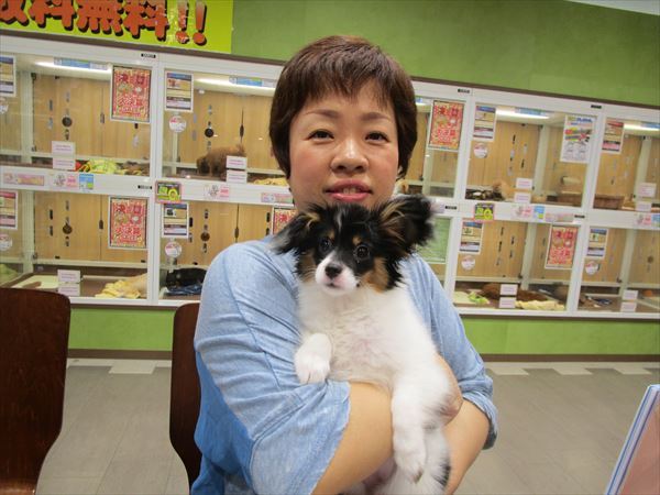 写真