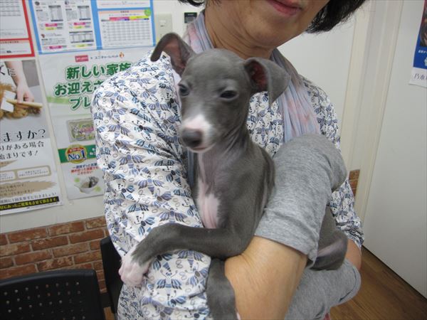写真