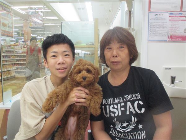 写真