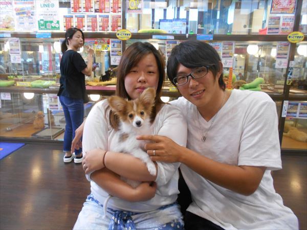 写真