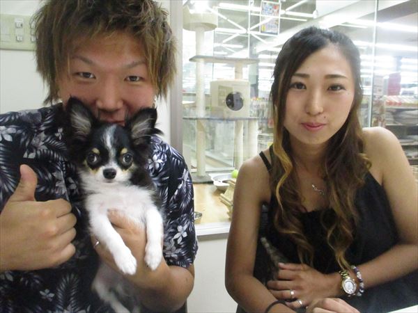 写真