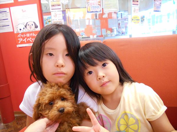 写真
