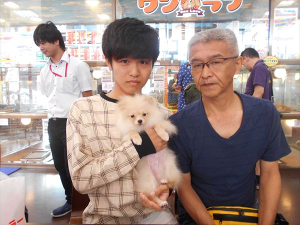 写真