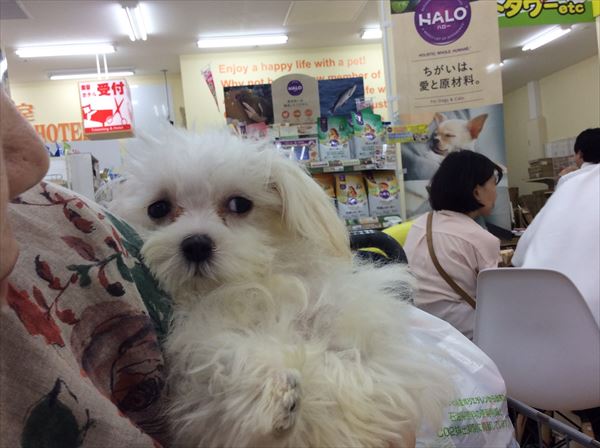 写真