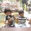 写真