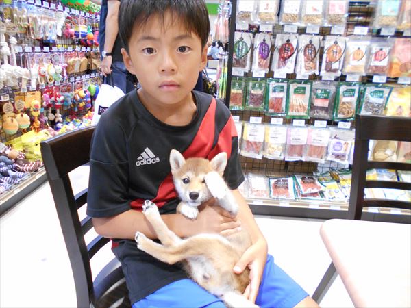 写真