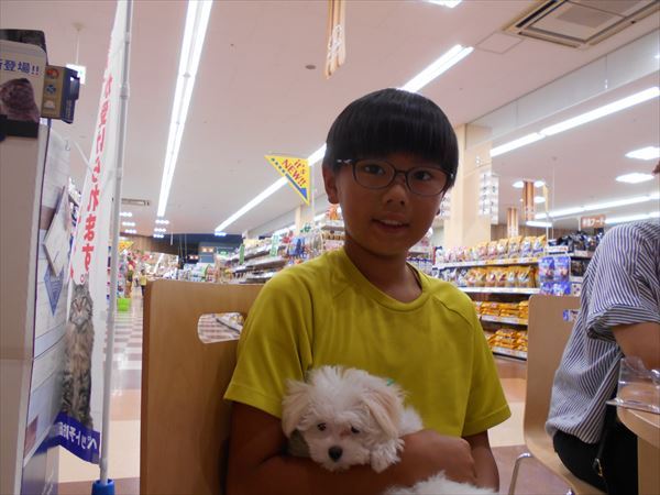 写真