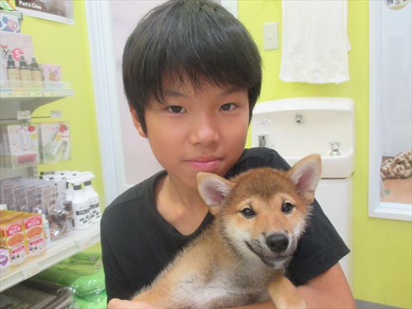 写真