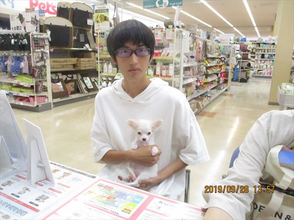 写真