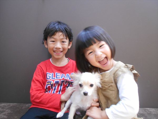 写真