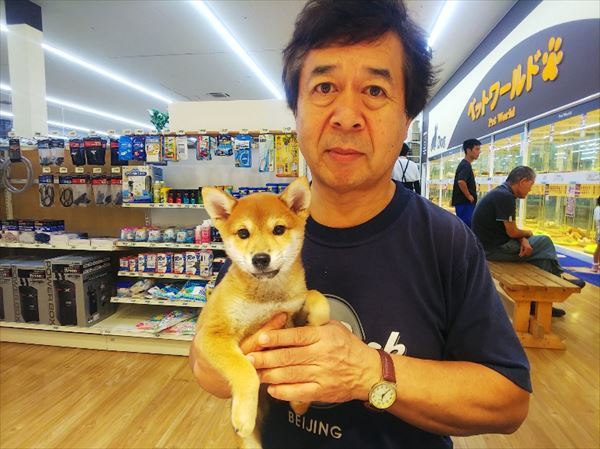 写真