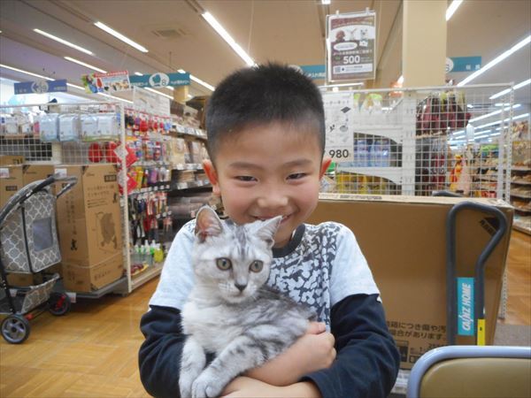写真