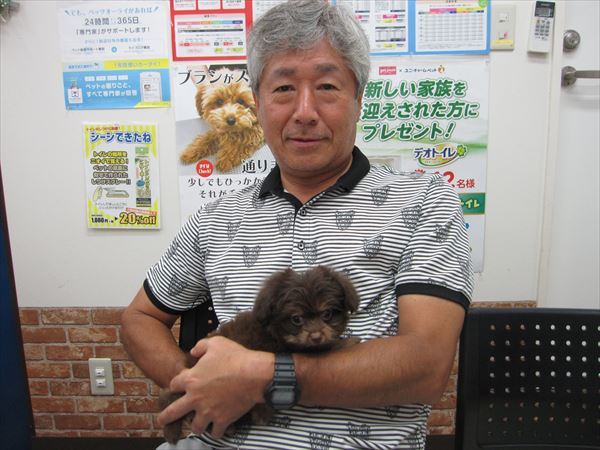 写真
