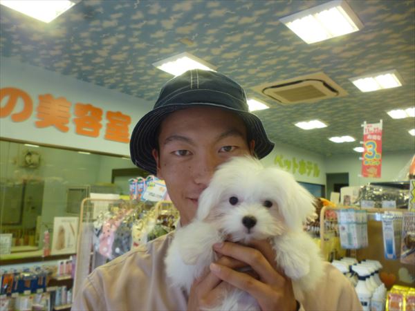 写真