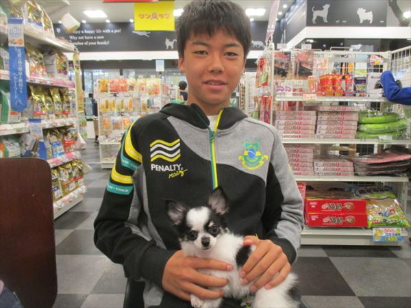 写真