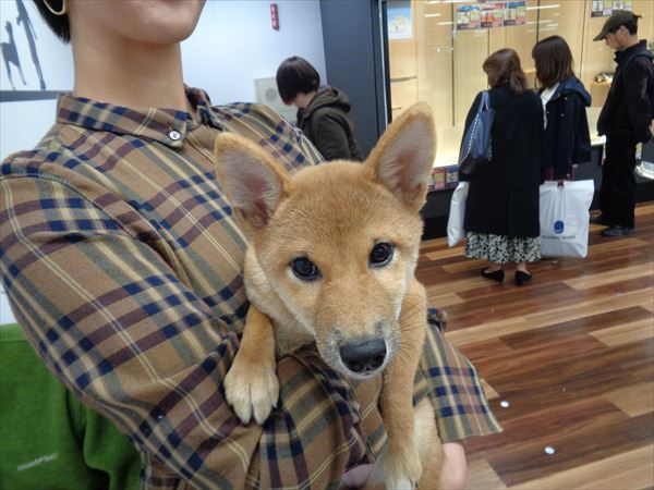 写真