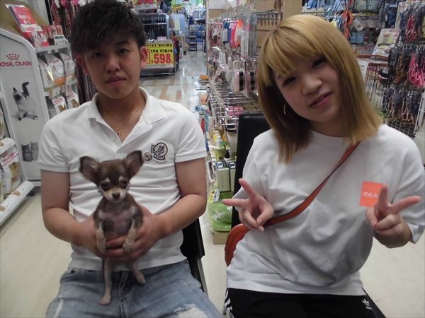 写真