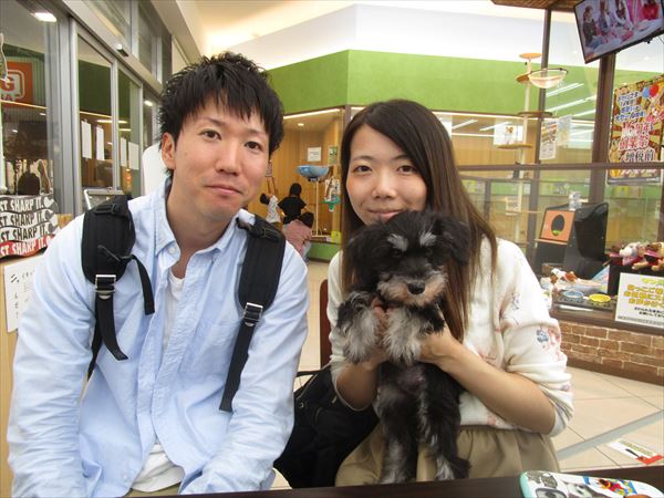写真