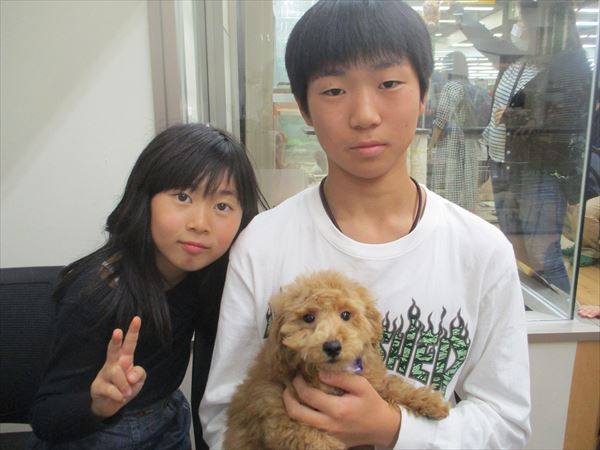 写真