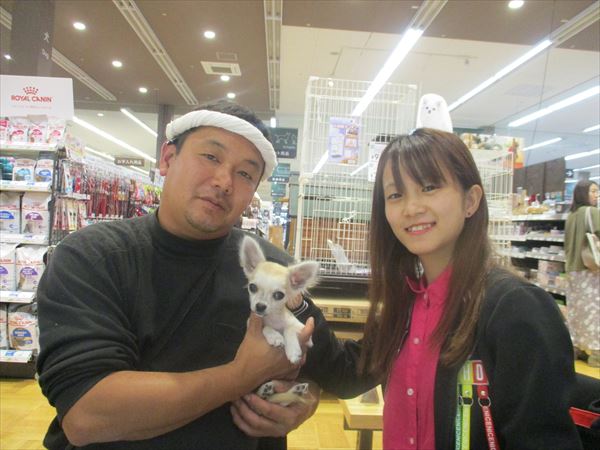 写真
