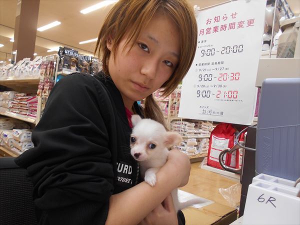 写真