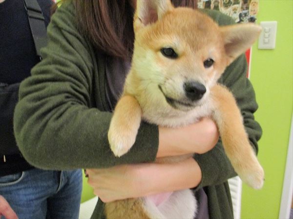 写真