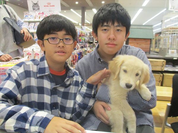 写真