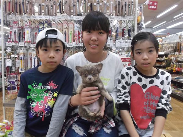 写真