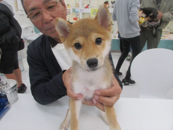 写真