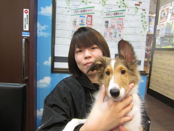 写真