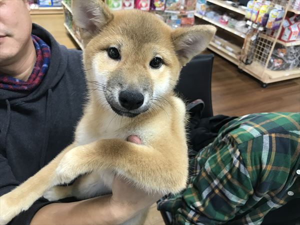 写真