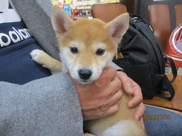 写真