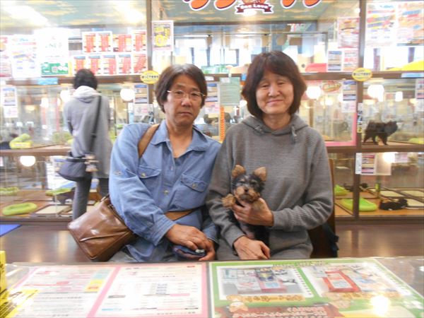 写真