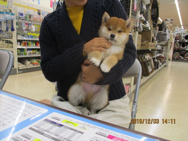 写真