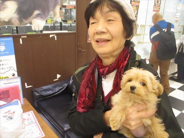 写真