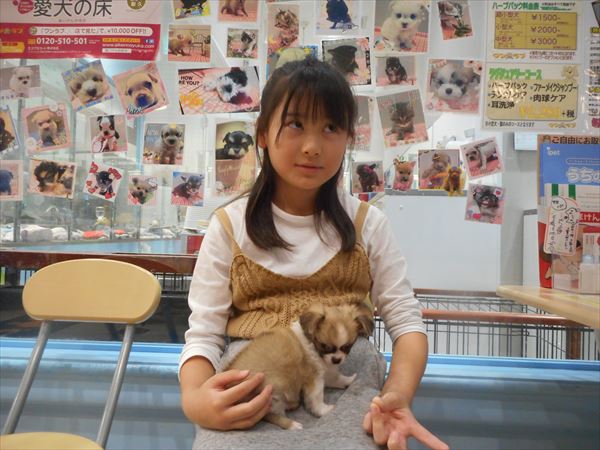 写真