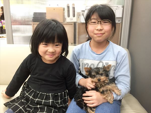 巣立った子犬子猫たち 詳細 愛知県名古屋市のペットショップ ワンラブ