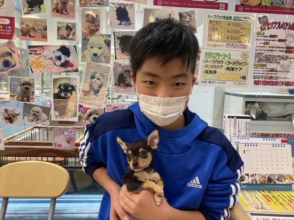 写真