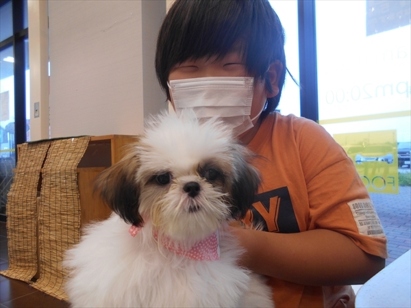 写真