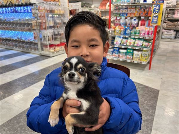 写真