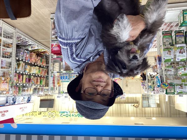 写真