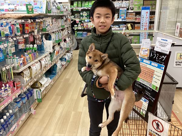 写真