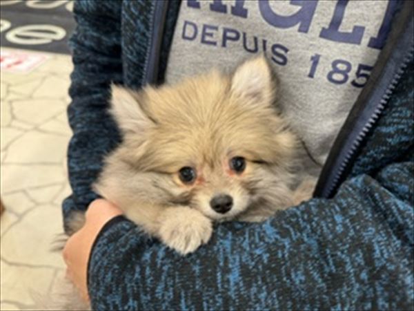 写真