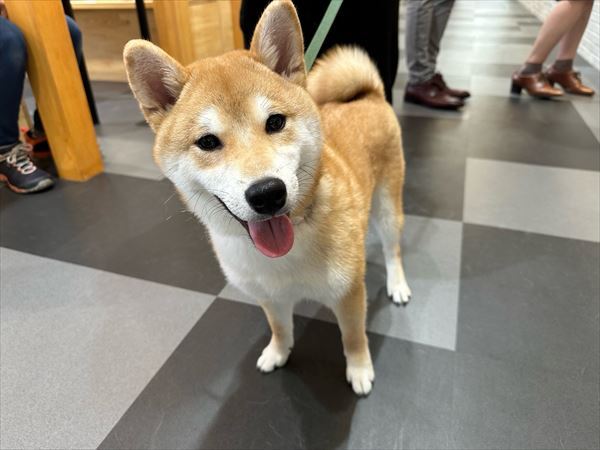 写真