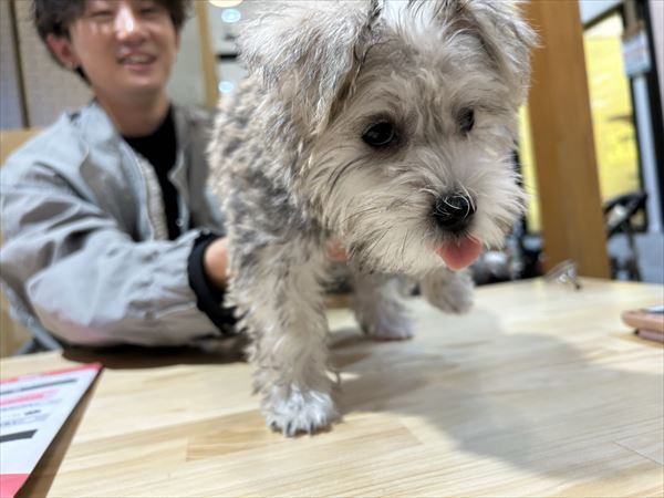 写真