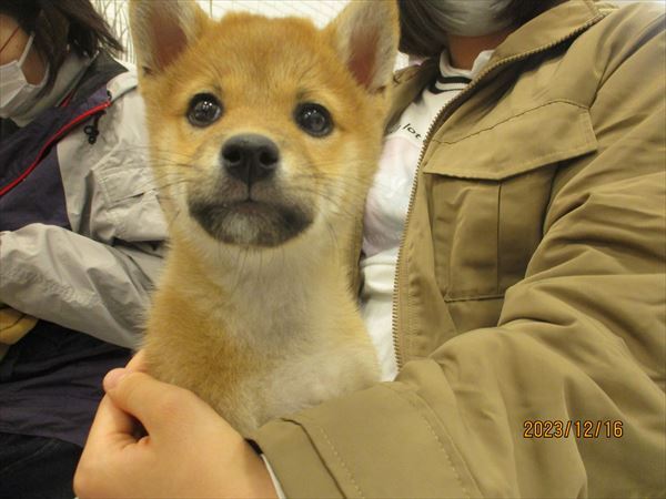 写真