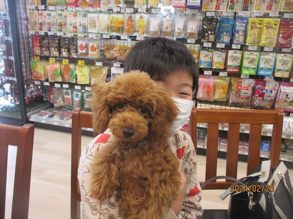 写真